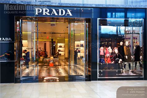 prada website canada|prada canada online shopping.